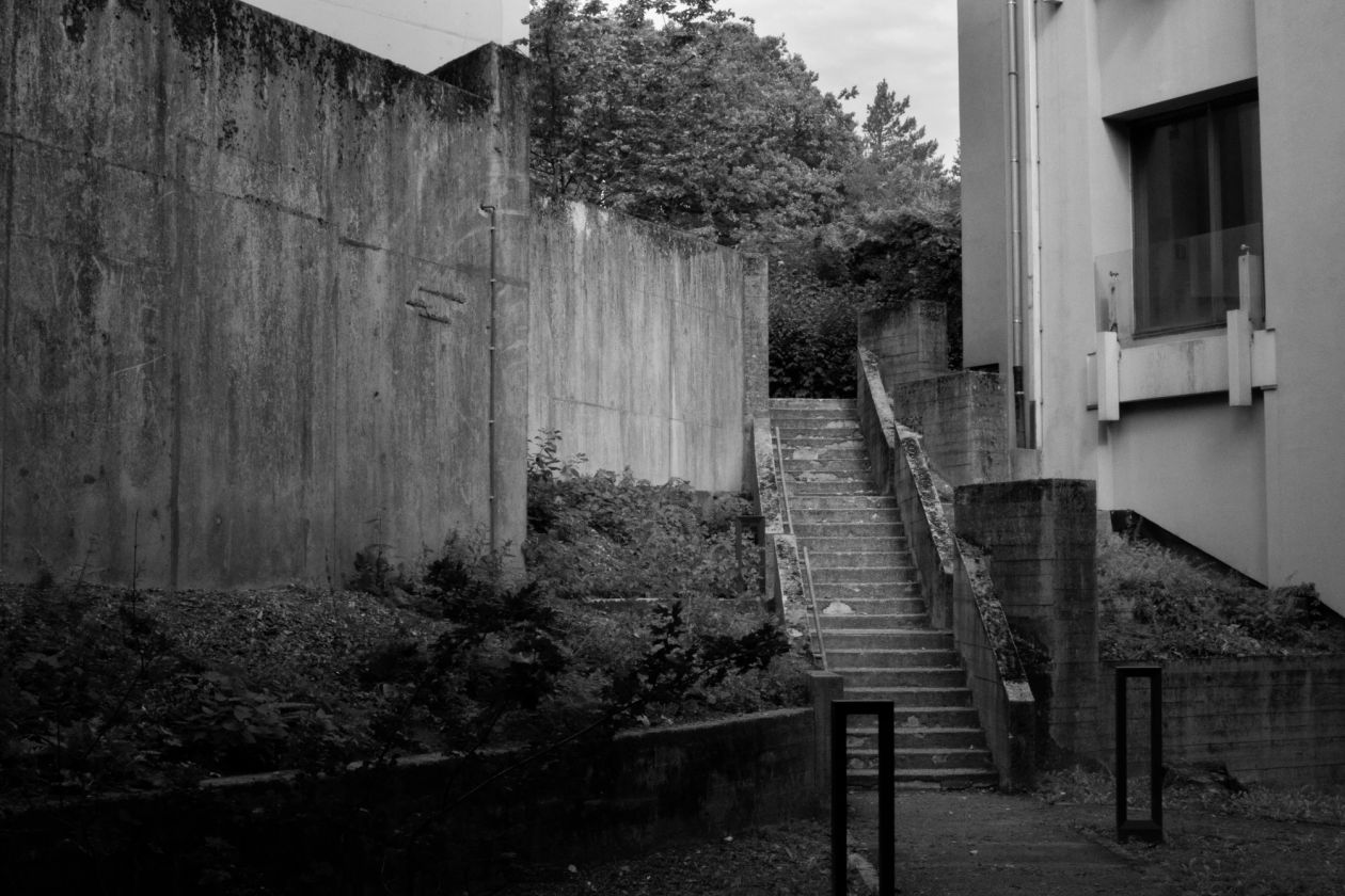 An alley of the Sart Tilman university campus in Liege. There is a concrete starway with bush and tree arround it.