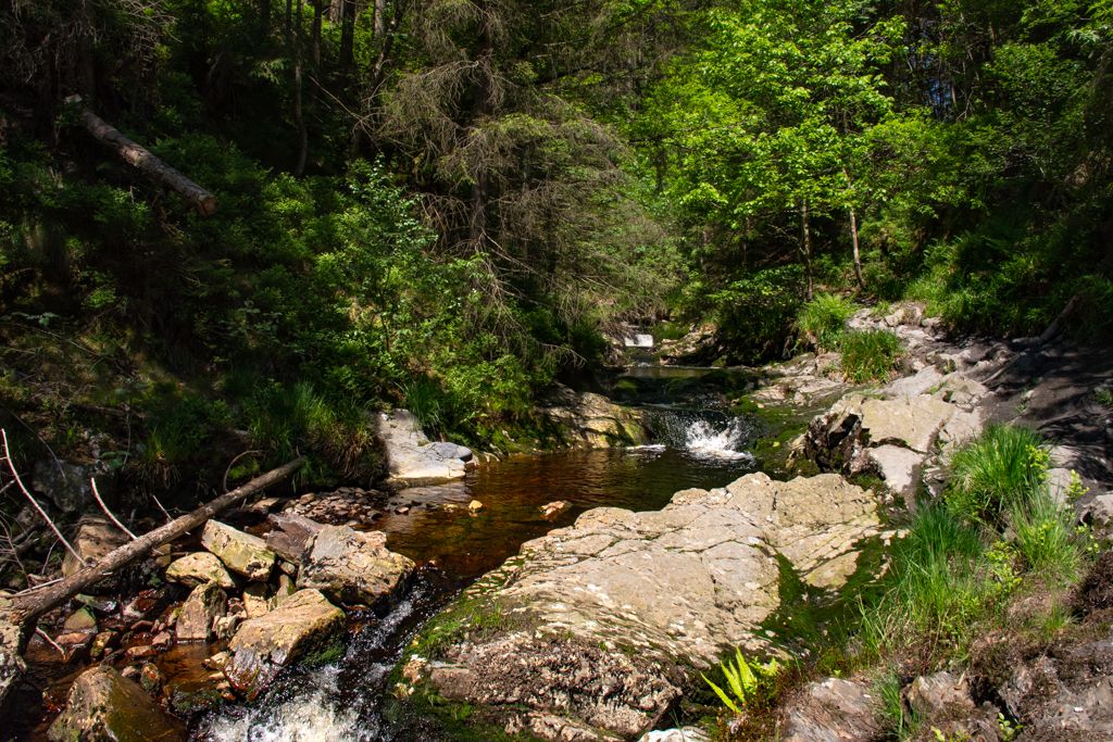 A small forest river, with some small rapids. There is a little pond in the middle. On the right a trecking path is visible.