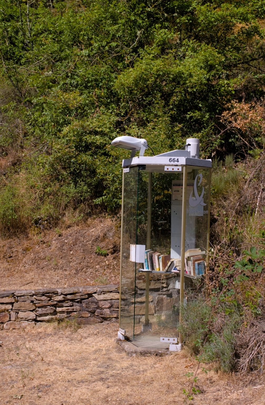 An old phonebooth converted in book box, surrounded by vegetation. The grass is very dry.