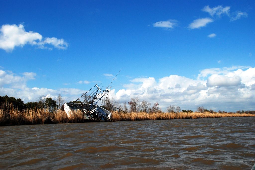 A shipwreck that has run aground on a bayou in Louisiana.