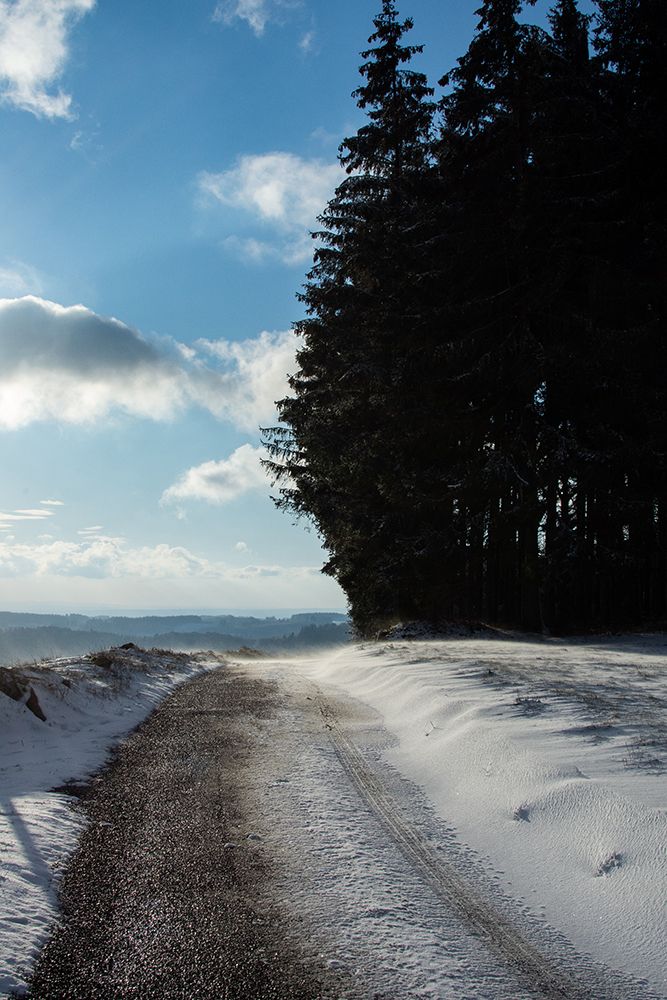 A snowy path in the the country side, with conifer forest on the right and snow field on the left. The sky is blue with some white cloud. According to the snow floating on the side of the road, the weather is a little bit windy.